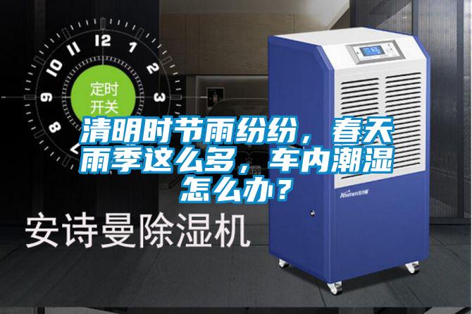 清明時節雨紛紛，春天雨季這么多，車內潮濕怎么辦？