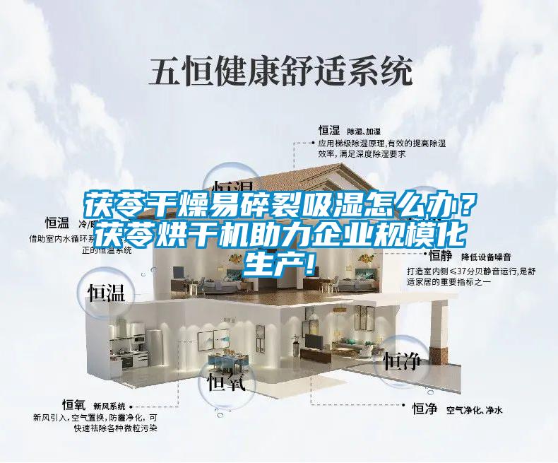 茯苓干燥易碎裂吸濕怎么辦？茯苓烘干機助力企業規?；a!