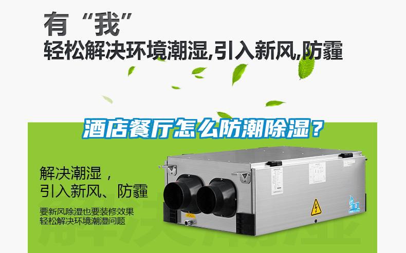 酒店餐廳怎么防潮除濕？