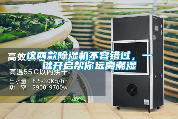 這兩款除濕機不容錯過，一鍵開啟幫你遠離潮濕