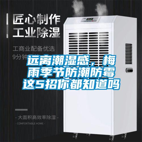 遠離潮濕感，梅雨季節防潮防霉這5招你都知道嗎