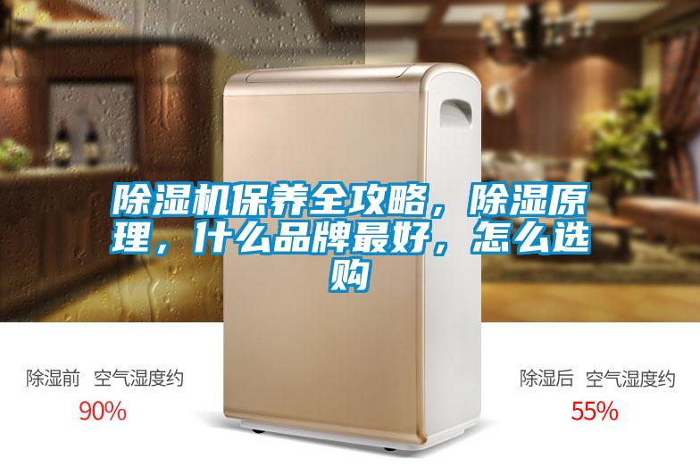 除濕機保養全攻略，除濕原理，什么品牌最好，怎么選購