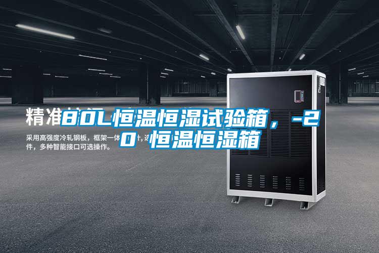 80L恒溫恒濕試驗箱，-20℃恒溫恒濕箱