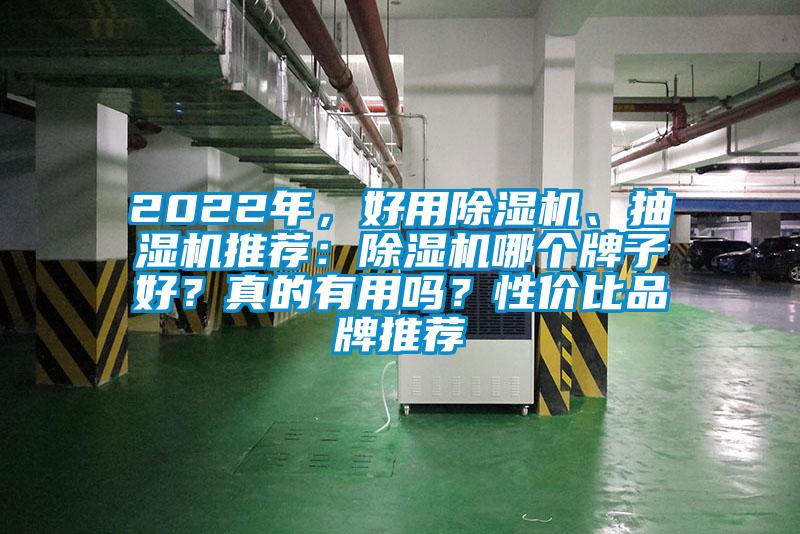 2022年，好用除濕機、抽濕機推薦：除濕機哪個牌子好？真的有用嗎？性價比品牌推薦