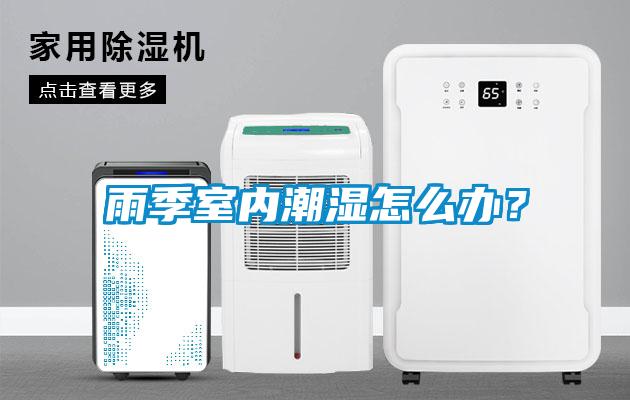 雨季室內潮濕怎么辦？