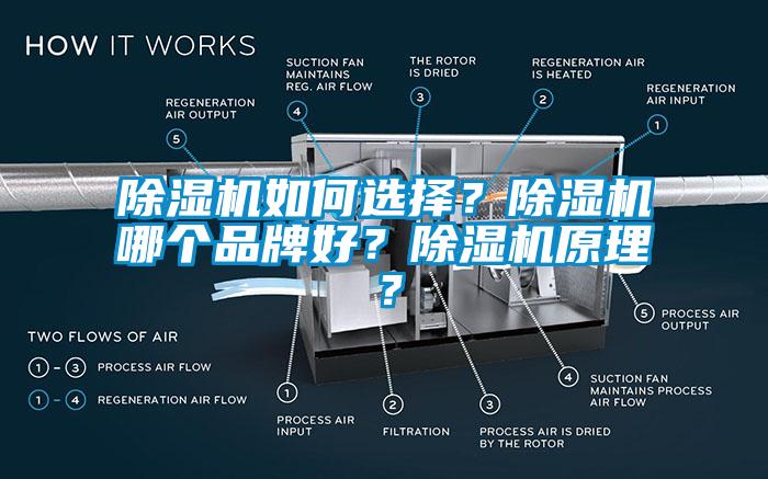 除濕機如何選擇？除濕機哪個品牌好？除濕機原理？
