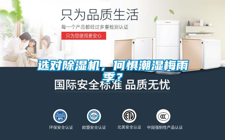 選對除濕機，何懼潮濕梅雨季？