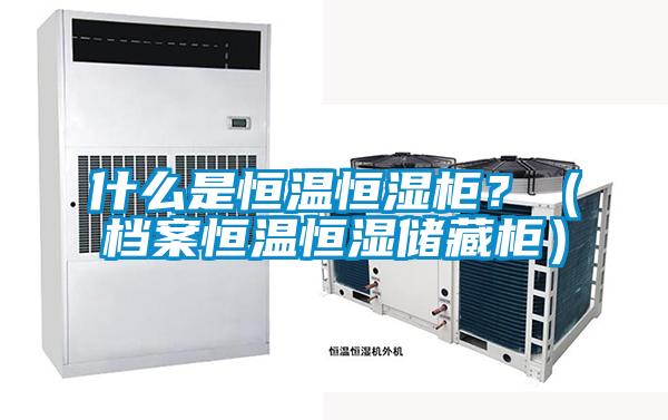什么是恒溫恒濕柜？（檔案恒溫恒濕儲藏柜）