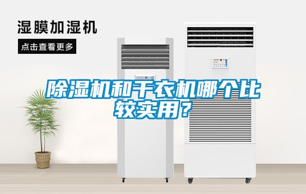 除濕機和干衣機哪個比較實用？