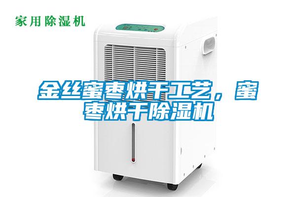 金絲蜜棗烘干工藝，蜜棗烘干除濕機