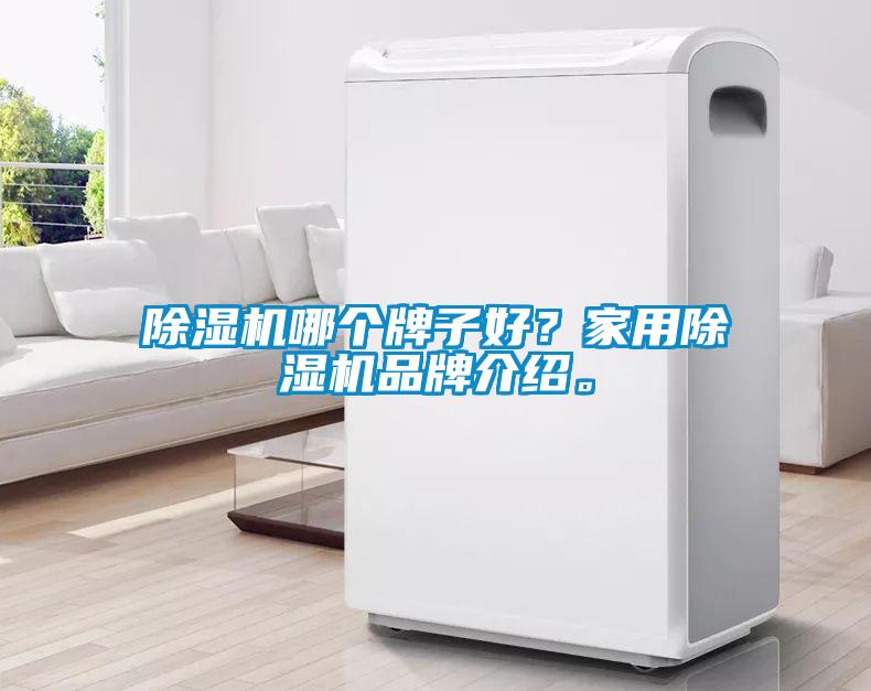 除濕機哪個牌子好？家用除濕機品牌介紹。