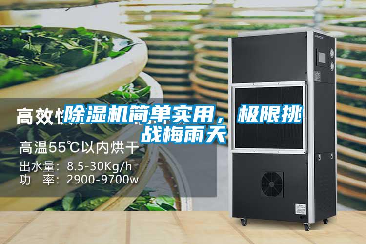 除濕機簡單實用，極限挑戰梅雨天
