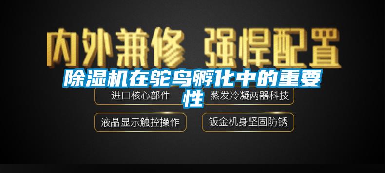 除濕機在鴕鳥孵化中的重要性