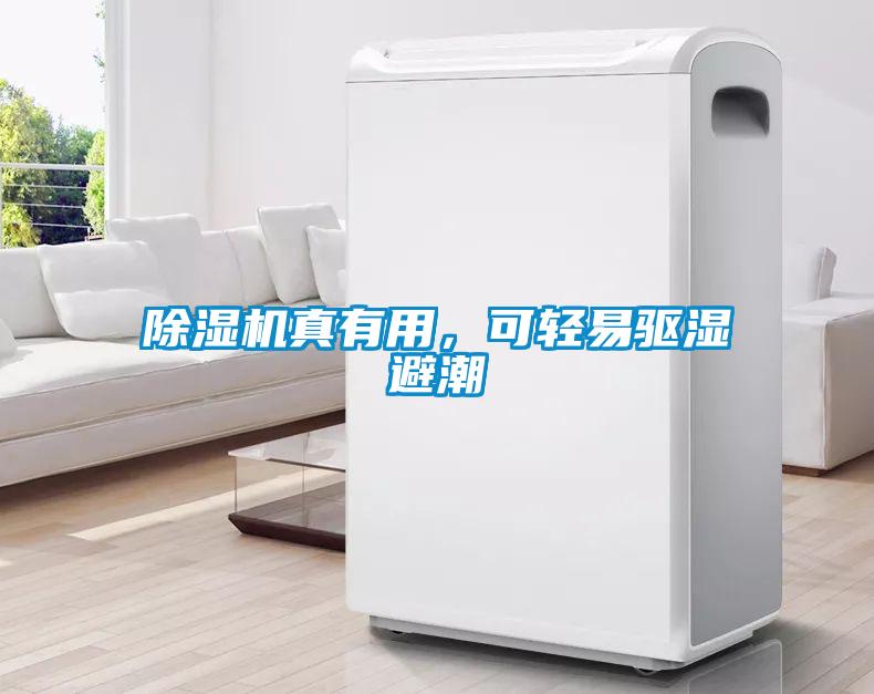 除濕機真有用，可輕易驅濕避潮
