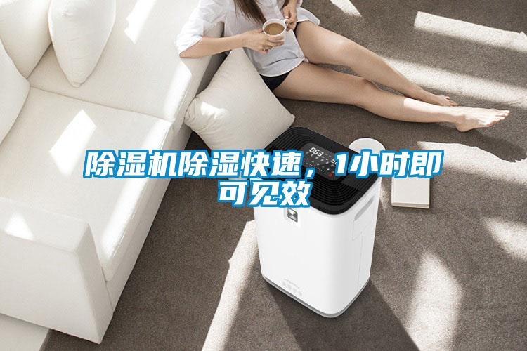 除濕機除濕快速，1小時即可見效