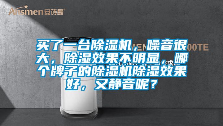 買了一臺除濕機，噪音很大，除濕效果不明顯，哪個牌子的除濕機除濕效果好，又靜音呢？