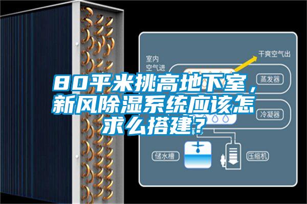 80平米挑高地下室，新風除濕系統應該怎求么搭建？