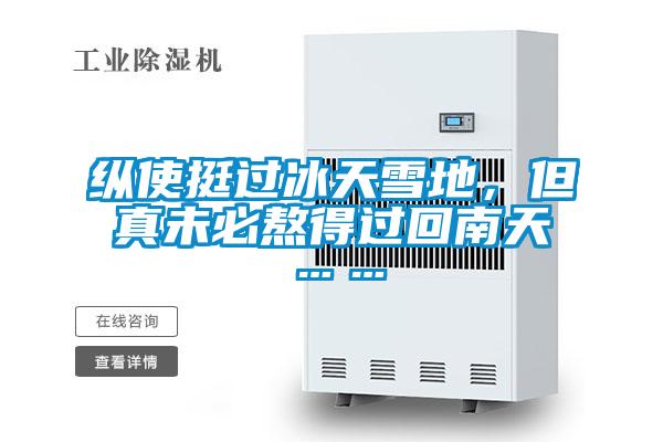 縱使挺過冰天雪地，但真未必熬得過回南天……