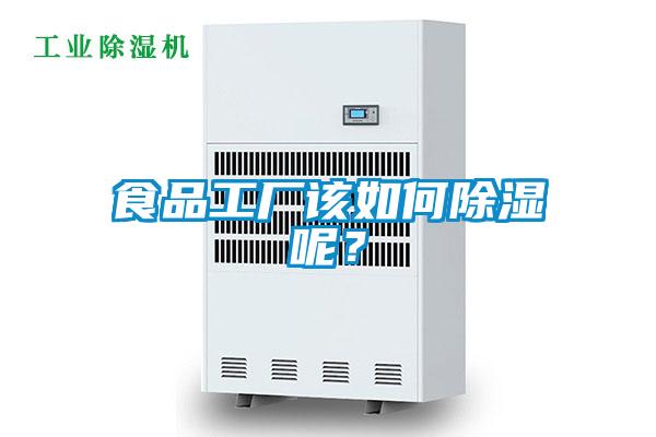 食品工廠該如何除濕呢？