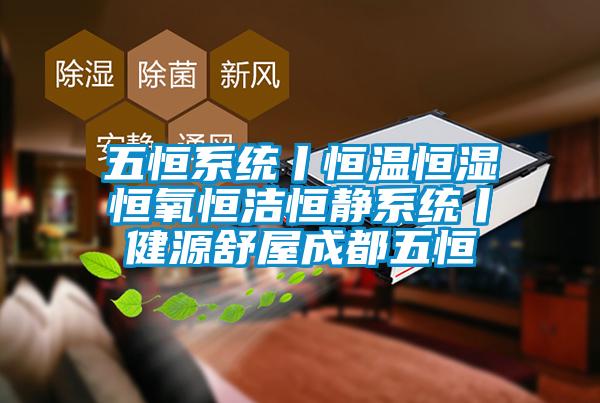 五恒系統丨恒溫恒濕恒氧恒潔恒靜系統丨健源舒屋成都五恒