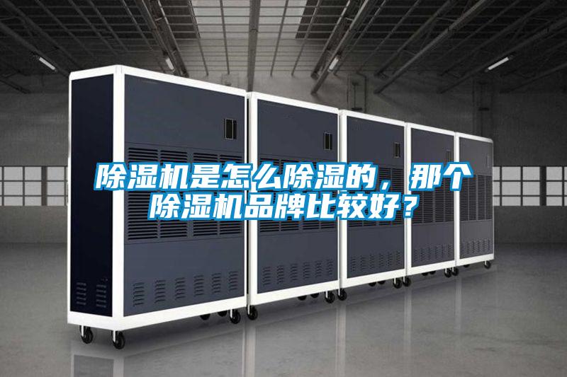 除濕機是怎么除濕的，那個除濕機品牌比較好？