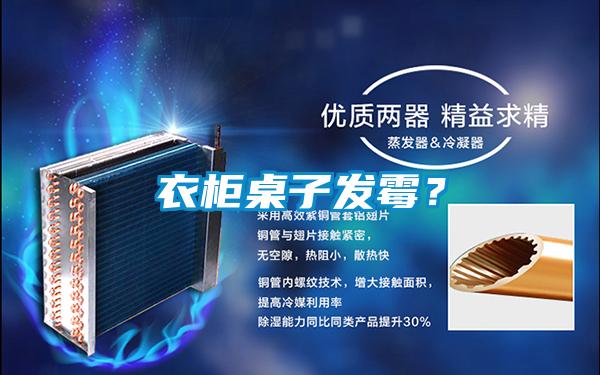 衣柜桌子發霉？