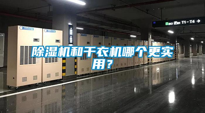 除濕機和干衣機哪個更實用？