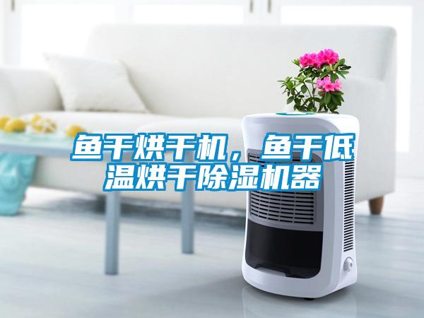 魚干烘干機，魚干低溫烘干除濕機器