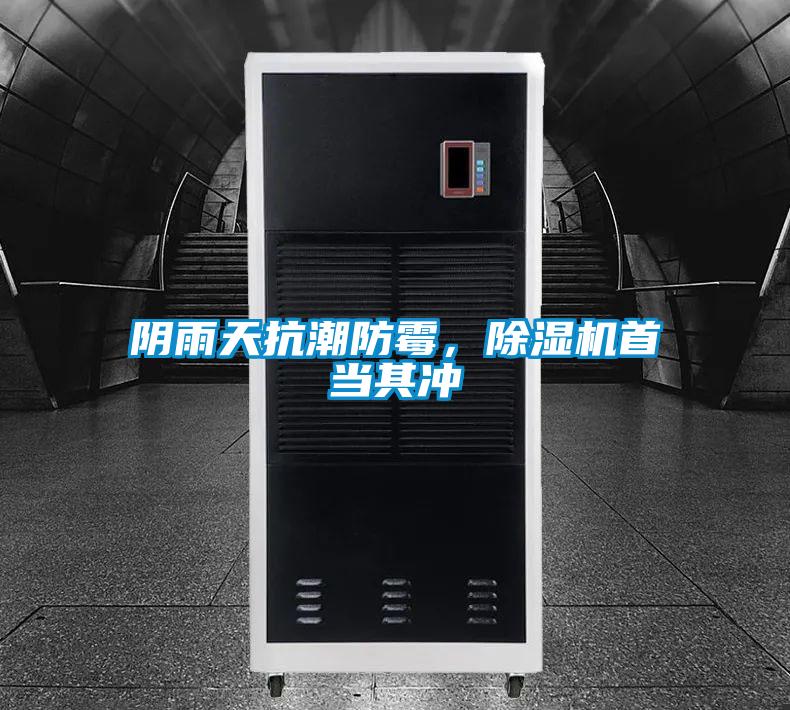 陰雨天抗潮防霉，除濕機首當其沖