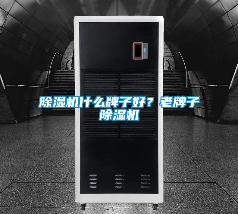 除濕機什么牌子好？老牌子除濕機