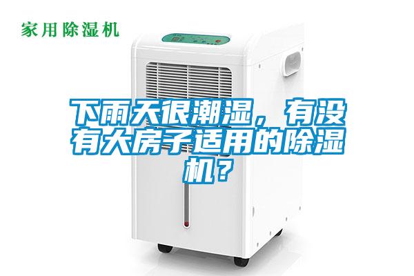 下雨天很潮濕，有沒有大房子適用的除濕機？