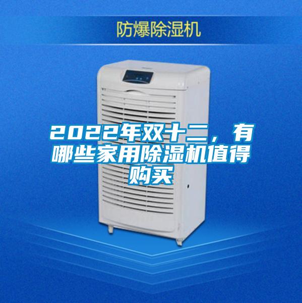 2022年雙十二，有哪些家用除濕機值得購買