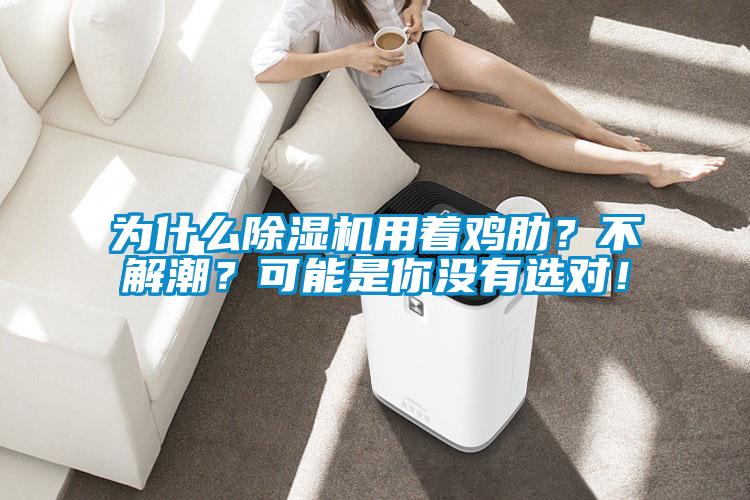 為什么除濕機用著雞肋？不解潮？可能是你沒有選對！