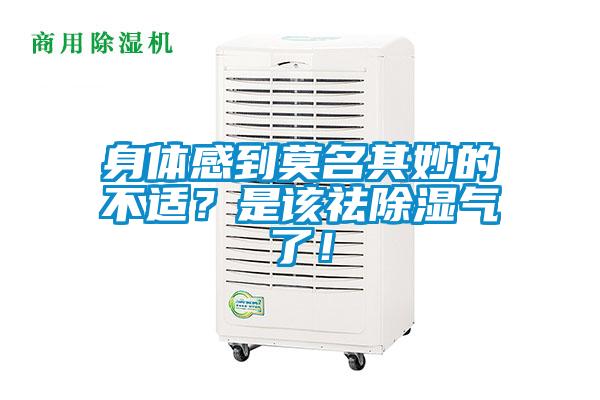 身體感到莫名其妙的不適？是該祛除濕氣了！