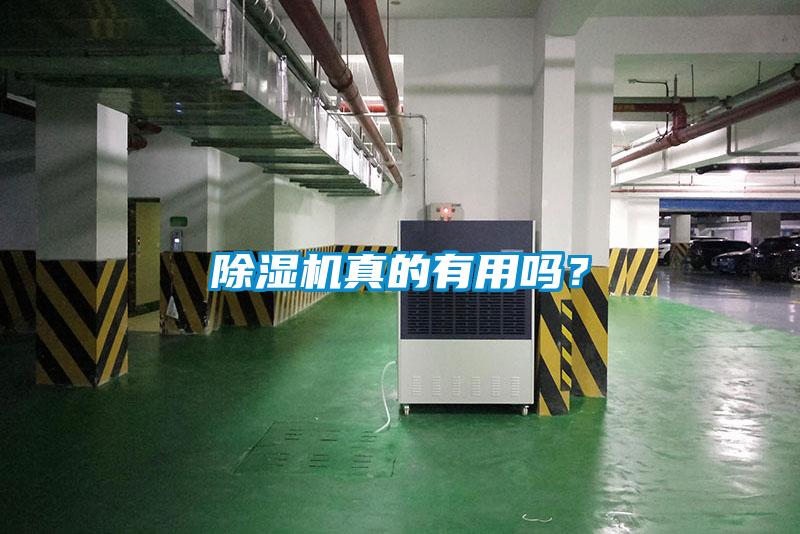 除濕機真的有用嗎？