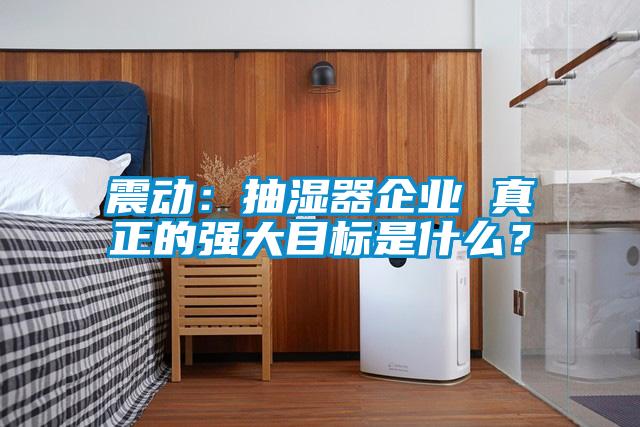 震動：抽濕器企業 真正的強大目標是什么？