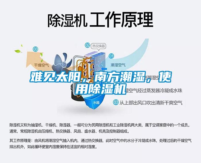難見太陽，南方潮濕，使用除濕機