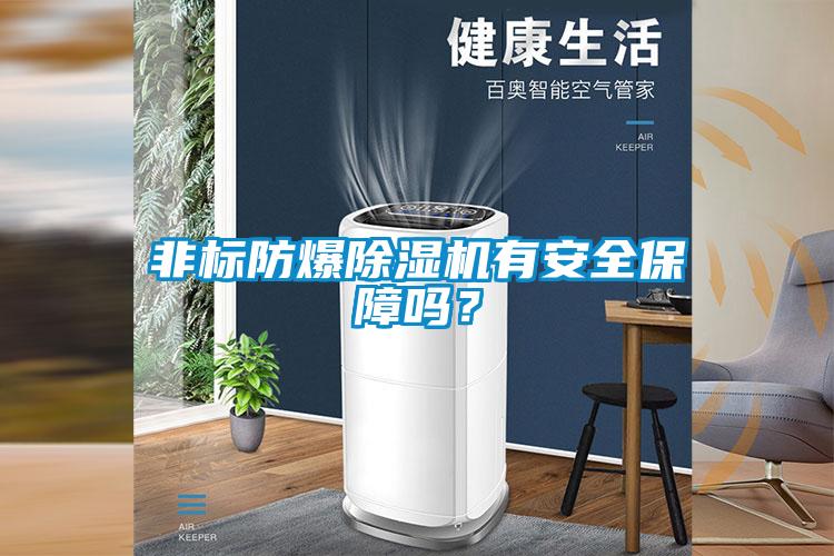 非標防爆除濕機有安全保障嗎？