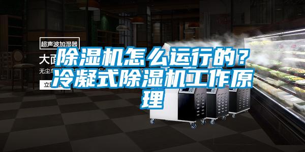 除濕機怎么運行的？冷凝式除濕機工作原理