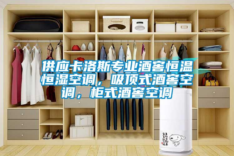 供應卡洛斯專業酒窖恒溫恒濕空調，吸頂式酒窖空調，柜式酒窖空調
