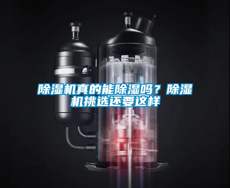 除濕機真的能除濕嗎？除濕機挑選還要這樣
