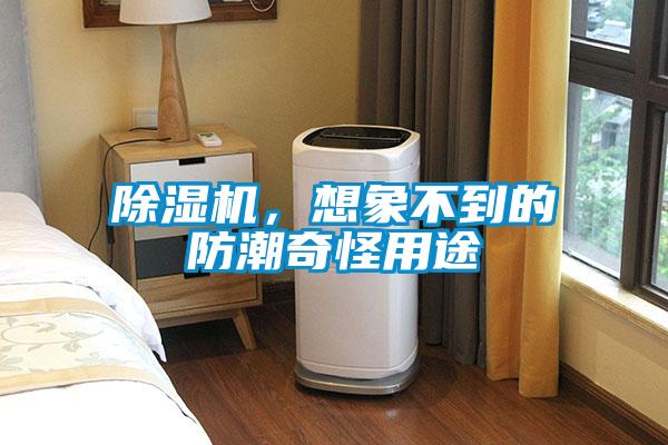 除濕機，想象不到的防潮奇怪用途