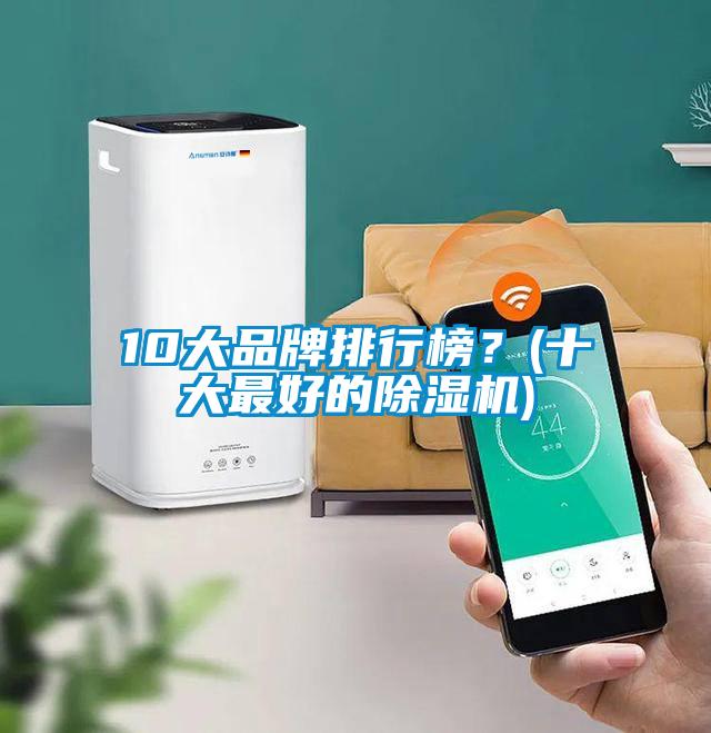 10大品牌排行榜？(十大最好的除濕機)