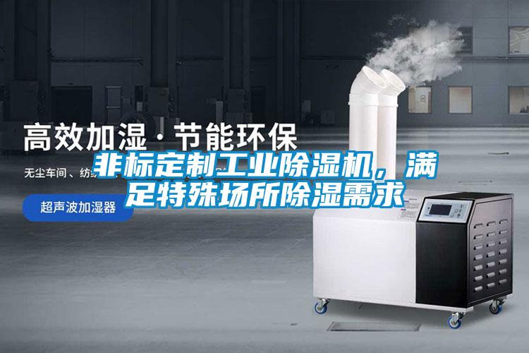 非標定制工業除濕機，滿足特殊場所除濕需求