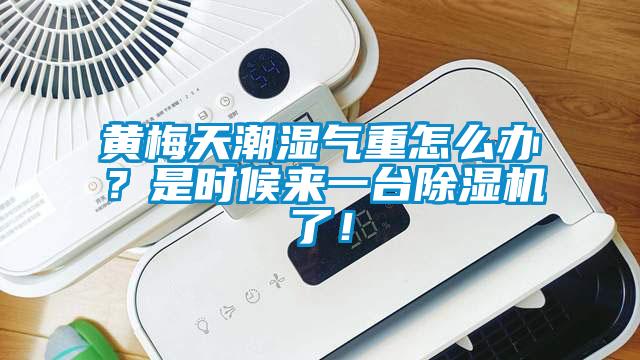 黃梅天潮濕氣重怎么辦？是時候來一臺除濕機了！