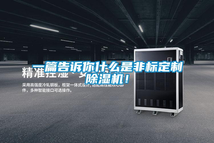 一篇告訴你什么是非標定制除濕機！