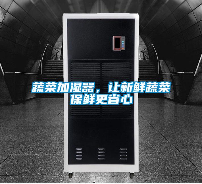 蔬菜加濕器，讓新鮮蔬菜保鮮更省心