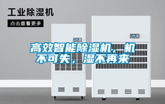 高效智能除濕機，機不可失，濕不再來