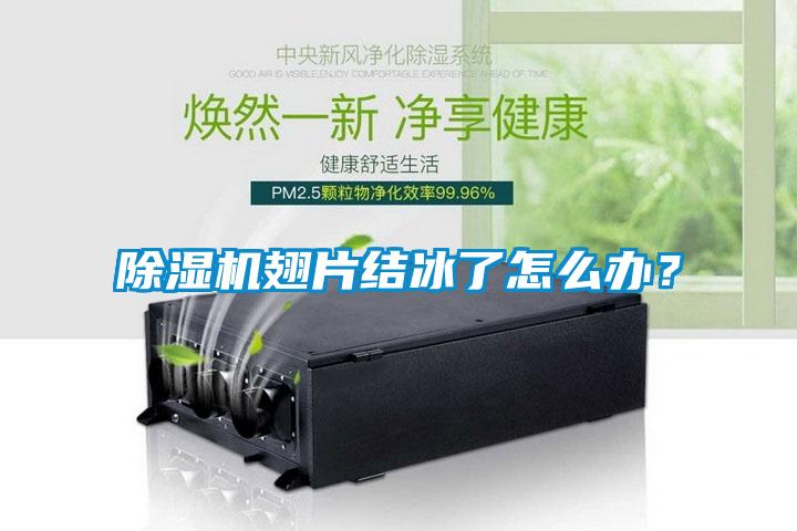 除濕機翅片結冰了怎么辦？