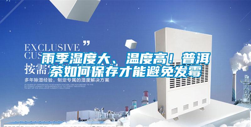 雨季濕度大、溫度高！普洱茶如何保存才能避免發霉